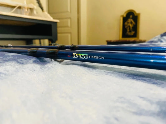 OCCASION Ensembles Canne/moulinet Daiwa Carbon « Big Fish» 3,60 m 250-500gr