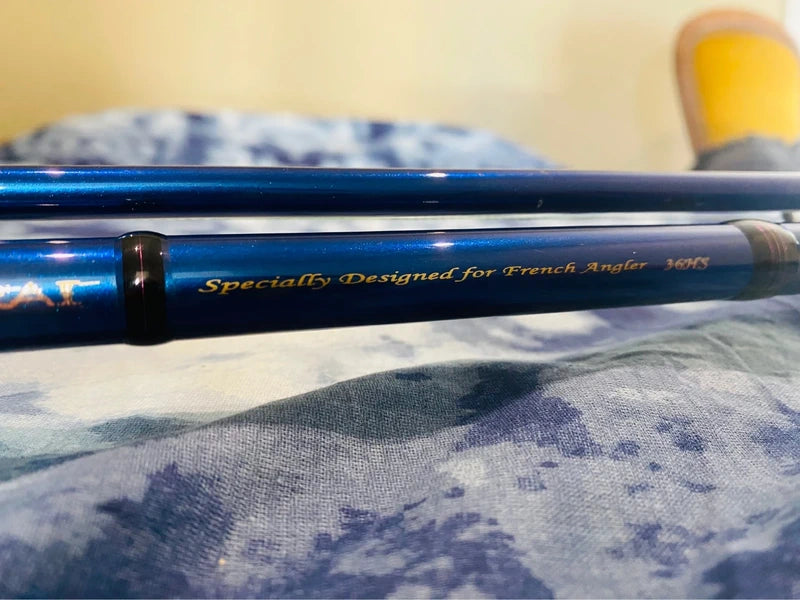 OCCASION Ensembles Canne/moulinet Daiwa Carbon « Big Fish» 3,60 m 250-500gr